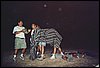 Campamento de verano en Huescar - 1 al 15 de agosto de 2003