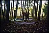 Campamento de verano en Huescar - 1 al 15 de agosto de 2003
