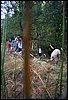 Campamento de verano en Huescar - 1 al 15 de agosto de 2003