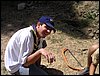 Campamento de verano 2004 en el Robledal del 1 al 15 de agosto de 2004