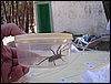 Campamento de verano 2004 en el Robledal del 1 al 15 de agosto de 2004