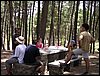 Campamento de verano 2004 en el Robledal del 1 al 15 de agosto de 2004