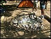 Campamento de verano 2004 en el Robledal del 1 al 15 de agosto de 2004