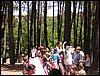 Campamento de verano 2004 en el Robledal del 1 al 15 de agosto de 2004