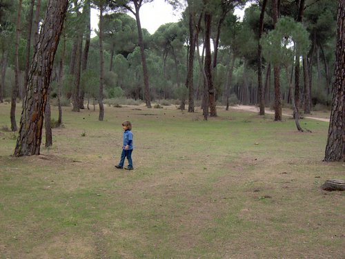 Caada de los Pjaros - Sevilla - Foto 15