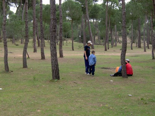 Caada de los Pjaros - Sevilla - Foto 16