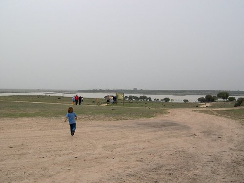 Caada de los Pjaros - Sevilla - Foto 28