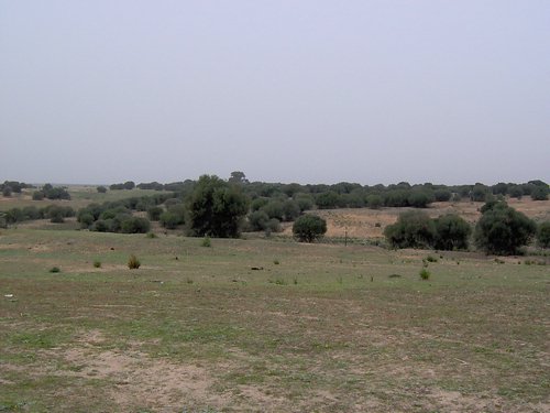 Caada de los Pjaros - Sevilla - Foto 31
