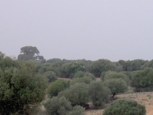 Caada de los Pjaros - Sevilla - Foto 32