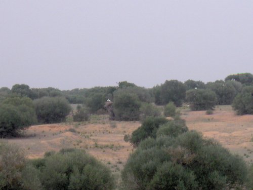 Caada de los Pjaros - Sevilla - Foto 33