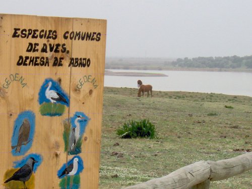 Caada de los Pjaros - Sevilla - Foto 38