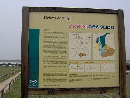 Caada de los Pjaros - Sevilla - Foto 39