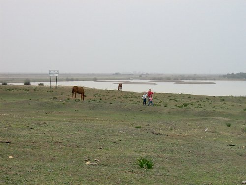 Caada de los Pjaros - Sevilla - Foto 42