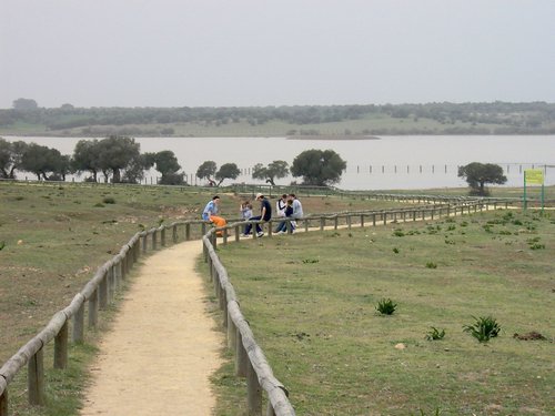 Cañada de los Pájaros - Sevilla - Foto 43
