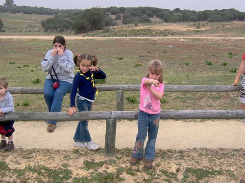 Caada de los Pjaros - Sevilla - Foto 45