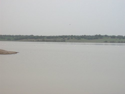 Caada de los Pjaros - Sevilla - Foto 51