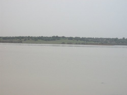 Caada de los Pjaros - Sevilla - Foto 52