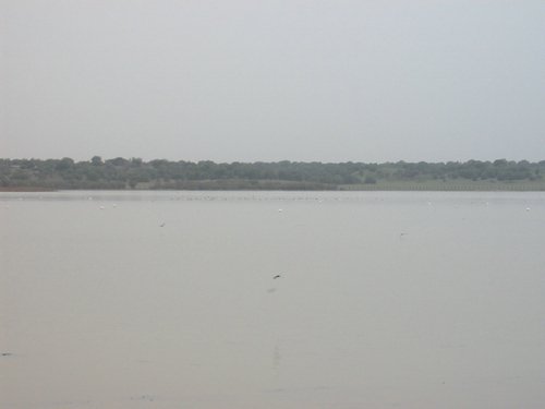Caada de los Pjaros - Sevilla - Foto 53