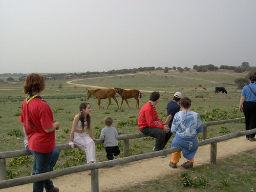 Caada de los Pjaros - Sevilla - Foto 60