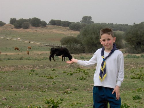 Caada de los Pjaros - Sevilla - Foto 64