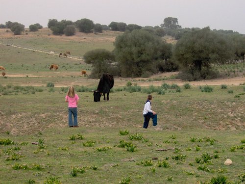 Caada de los Pjaros - Sevilla - Foto 68