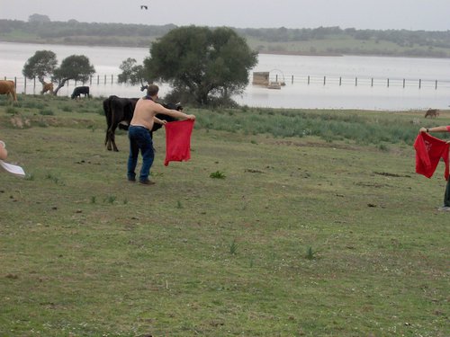 Caada de los Pjaros - Sevilla - Foto 70