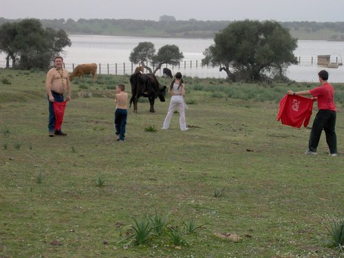 Caada de los Pjaros - Sevilla - Foto 71