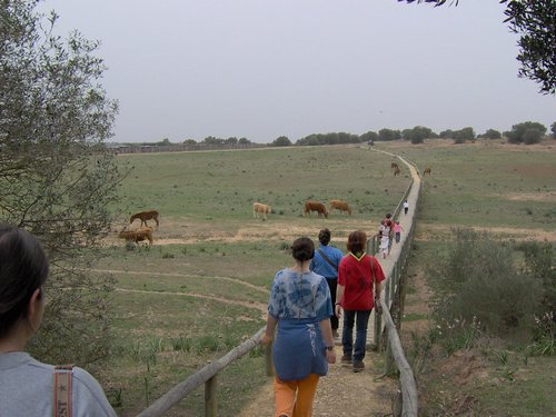 Caada de los Pjaros - Sevilla - Foto 78