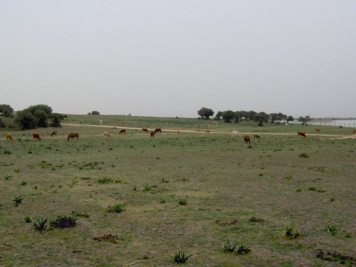 Caada de los Pjaros - Sevilla - Foto 84