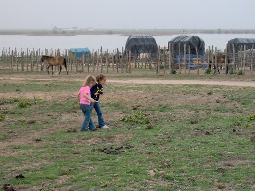 Caada de los Pjaros - Sevilla - Foto 85