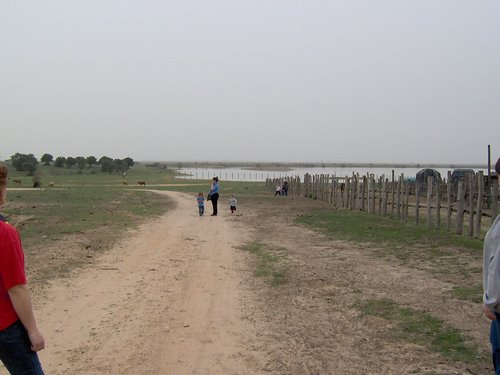 Caada de los Pjaros - Sevilla - Foto 89