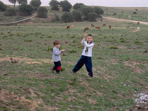 Caada de los Pjaros - Sevilla - Foto 91