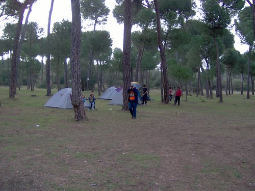 Caada de los Pjaros - Sevilla - Foto 98