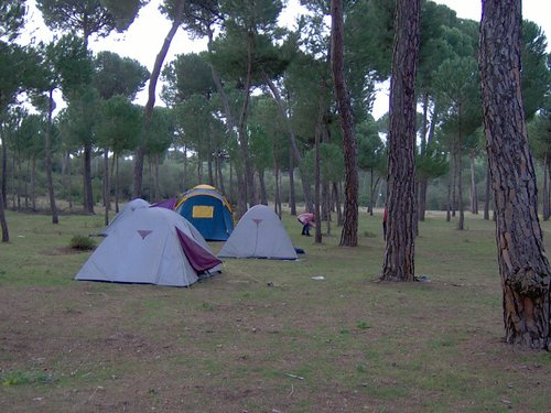 Caada de los Pjaros - Sevilla - Foto 100