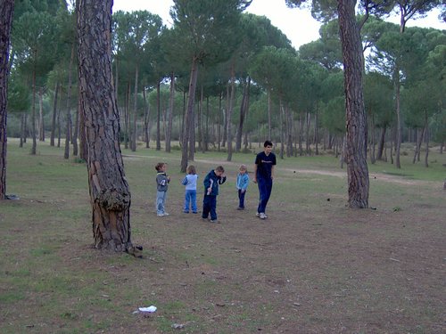 Caada de los Pjaros - Sevilla - Foto 101
