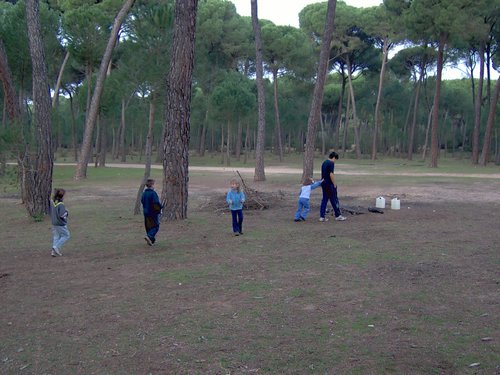 Caada de los Pjaros - Sevilla - Foto 102