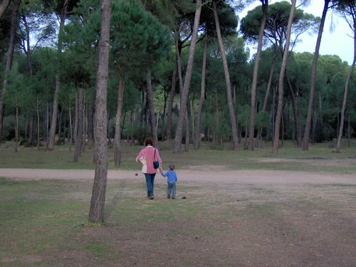 Caada de los Pjaros - Sevilla - Foto 114