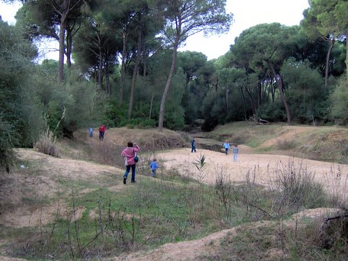 Caada de los Pjaros - Sevilla - Foto 116