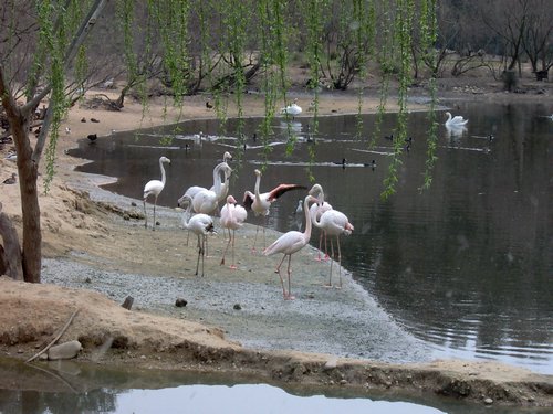 Caada de los Pjaros - Sevilla - Foto 123