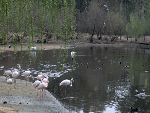 Caada de los Pjaros - Sevilla - Foto 125