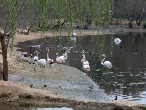 Caada de los Pjaros - Sevilla - Foto 126