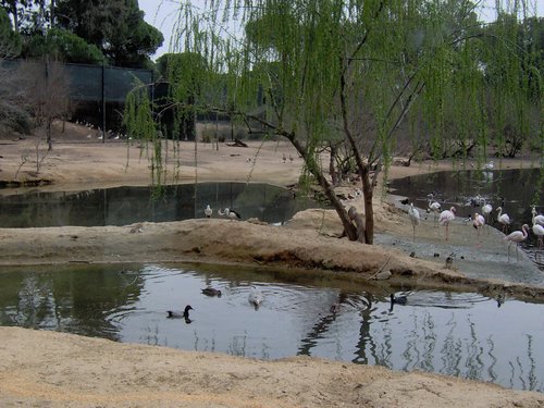 Caada de los Pjaros - Sevilla - Foto 127