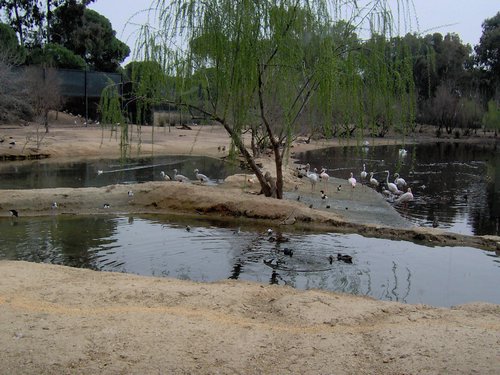 Caada de los Pjaros - Sevilla - Foto 128