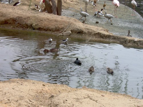 Caada de los Pjaros - Sevilla - Foto 129