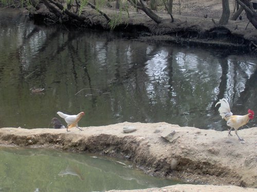 Caada de los Pjaros - Sevilla - Foto 130