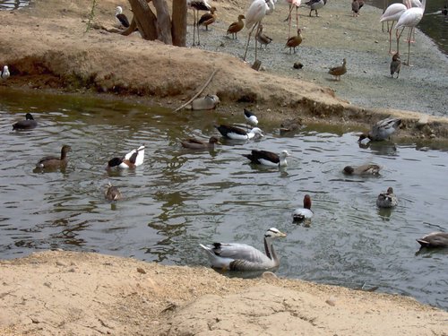Caada de los Pjaros - Sevilla - Foto 132