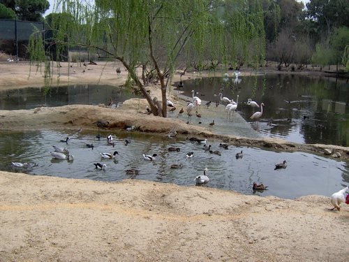 Caada de los Pjaros - Sevilla - Foto 133