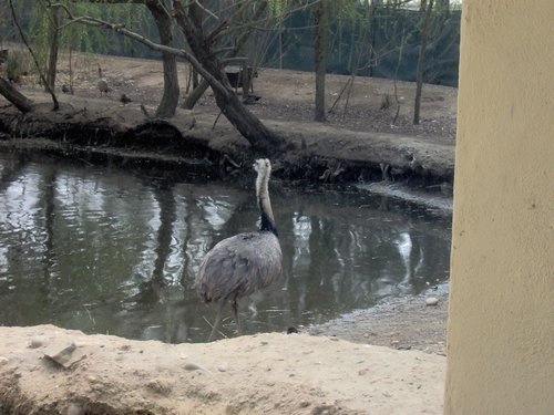Caada de los Pjaros - Sevilla - Foto 134