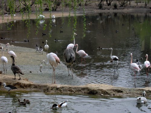 Caada de los Pjaros - Sevilla - Foto 135