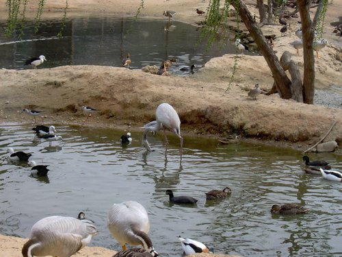 Caada de los Pjaros - Sevilla - Foto 137